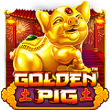 Golden-pig
