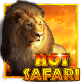 Hot-safari